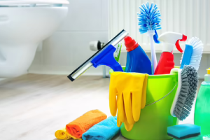 Messie Reinigung Velbert