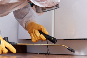 Messie Schädlingsbekämpfung Velbert